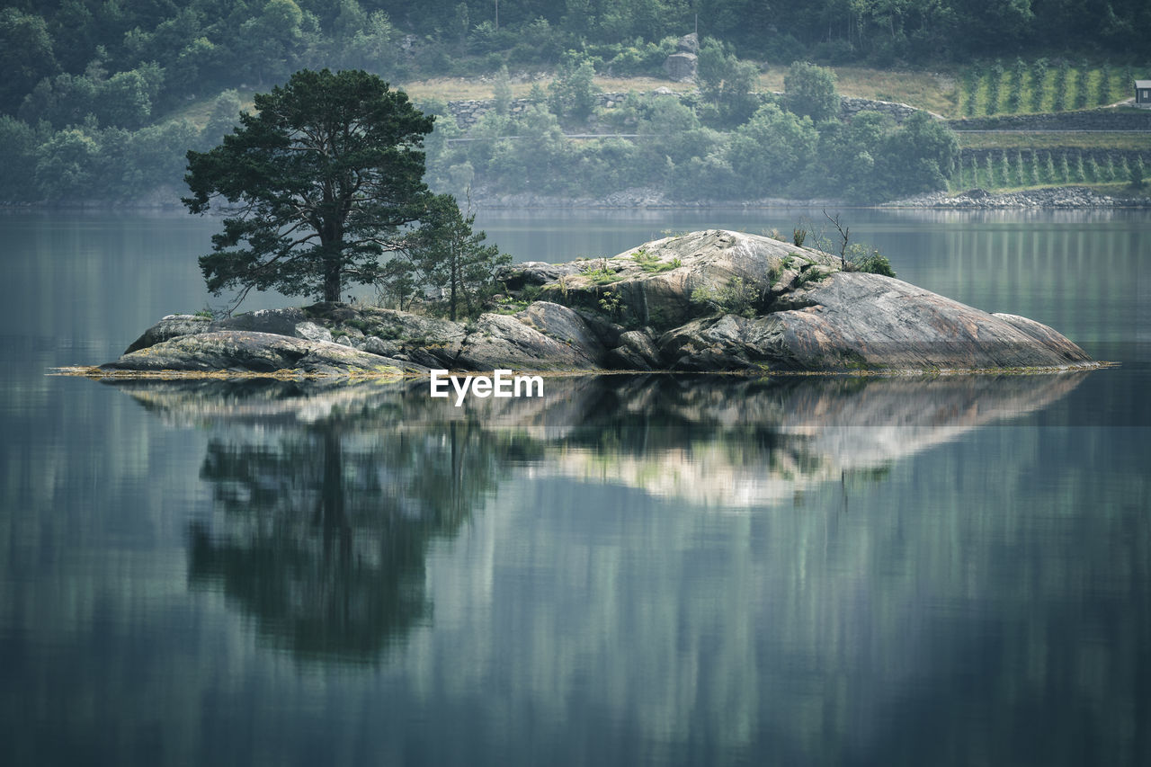 Reflection of trees in lake