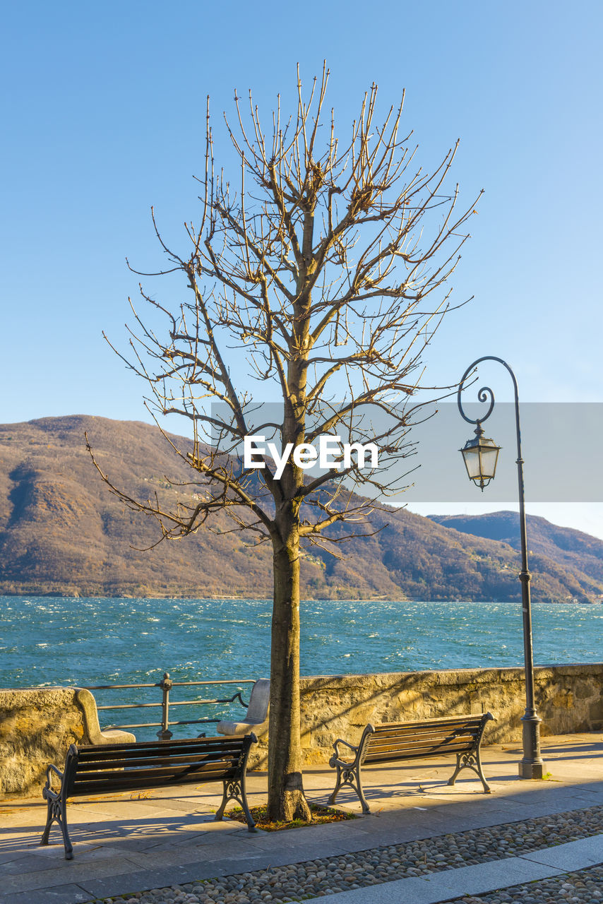 Bare tree on promenade by river against clear sky