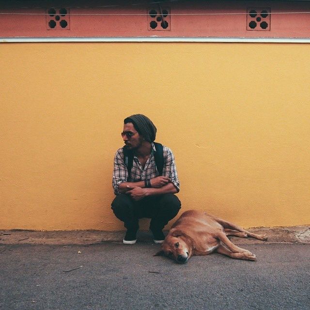 Front view of young man crouching by stray dog lying against yellow wall