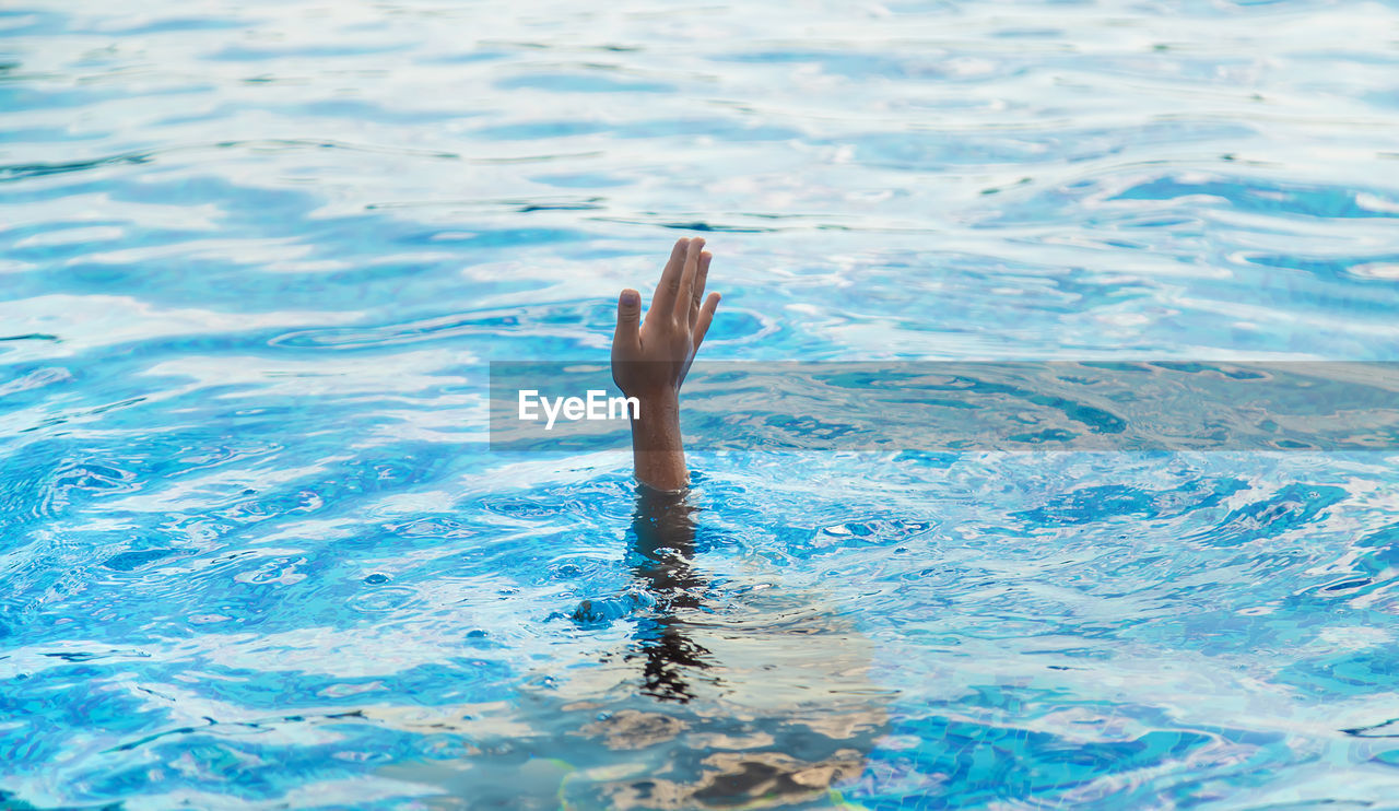 high angle view of man swimming in water