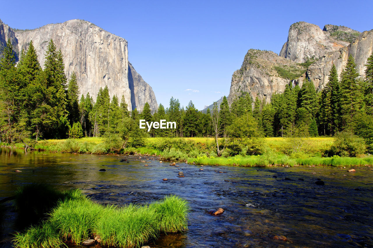 SCENIC VIEW OF ROCKS BY TREES AGAINST SKY