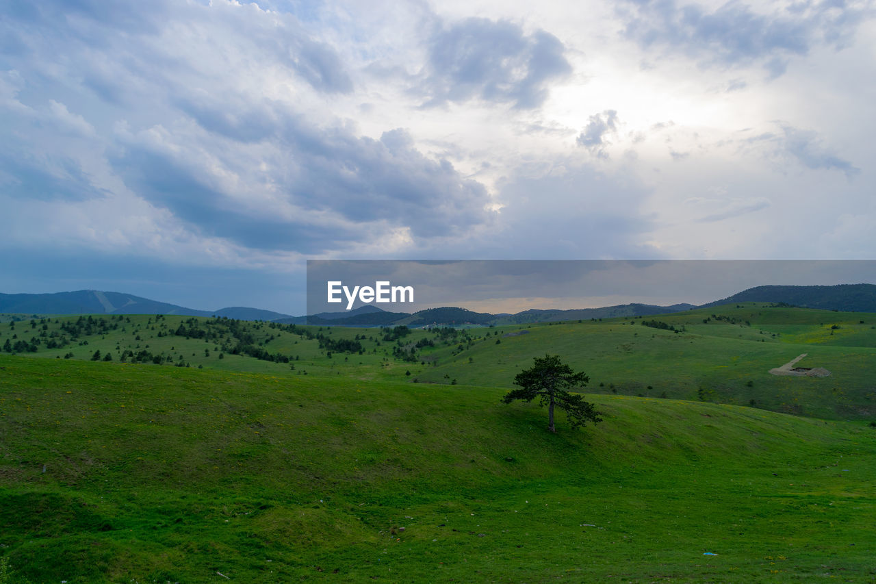 Scenic view of landscape against sky