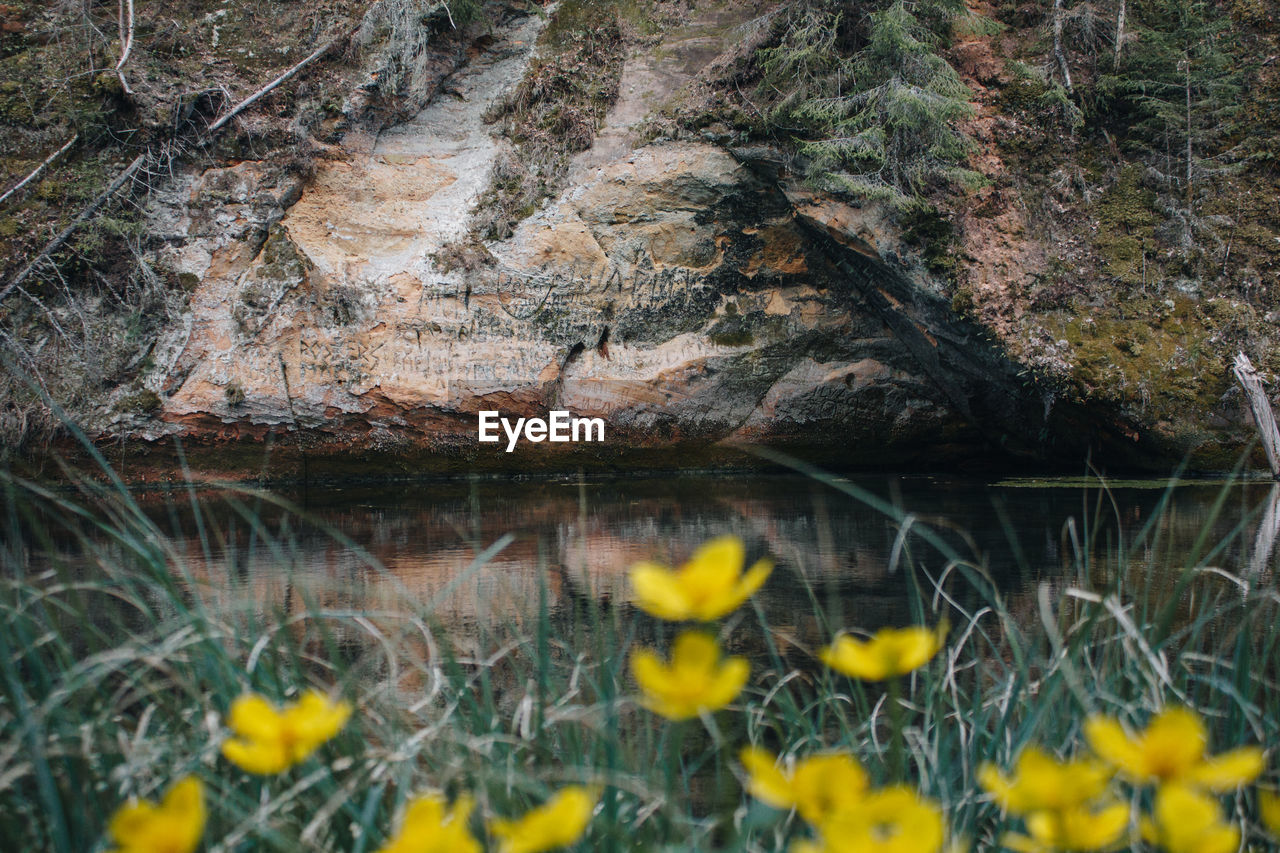 SCENIC VIEW OF LAKE