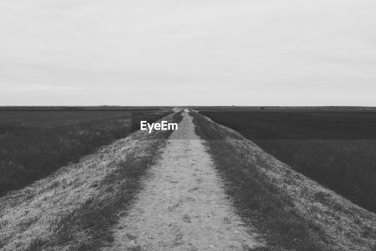 Road amidst agricultural field against sky