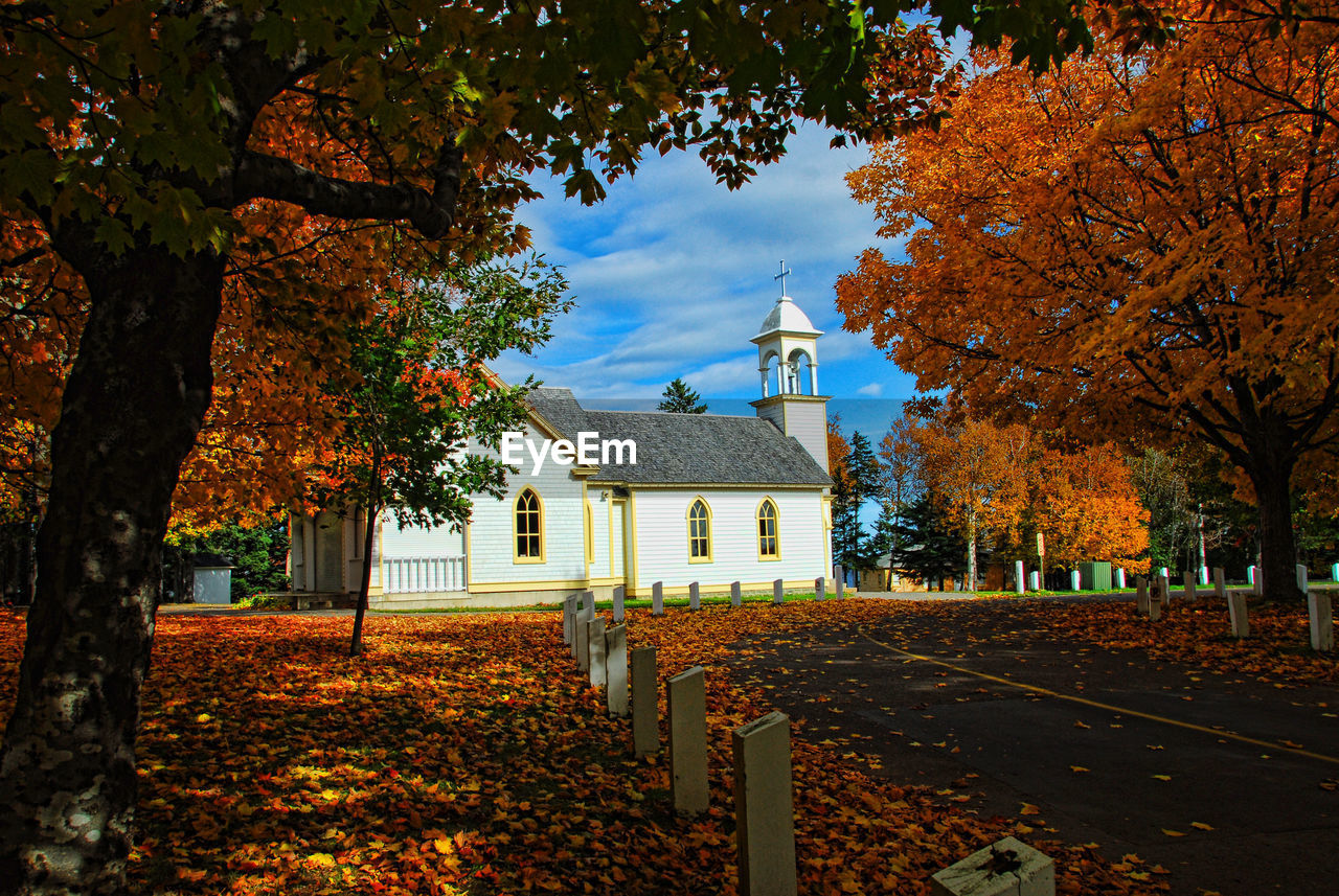 AUTUMN TREES BY BUILDING AGAINST SKY