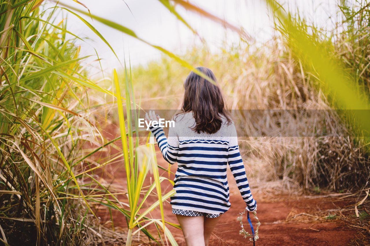 Rear view of woman holding tiara walking on pathway amidst plants