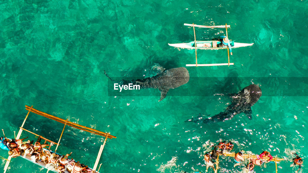 high angle view of ship in sea