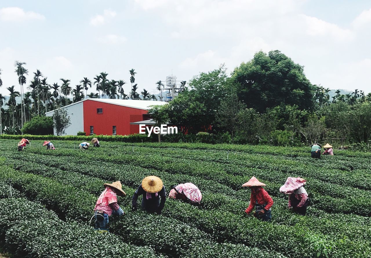 GROUP OF PEOPLE RELAXING ON FIELD