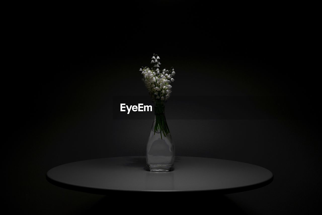 Flowers in vase on table against black background