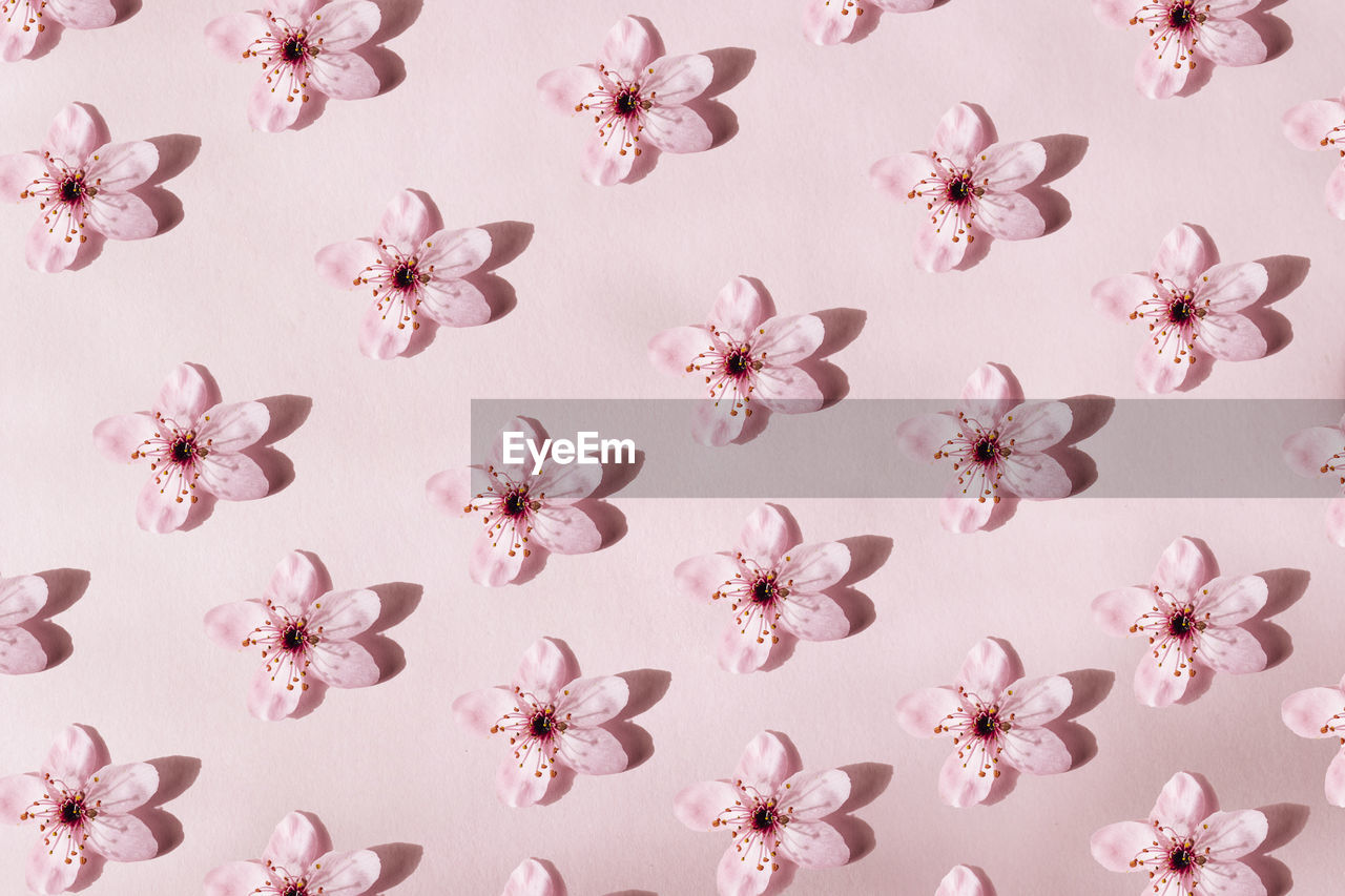 Flowers pattern. blossoms spring blooming pattern on pink background