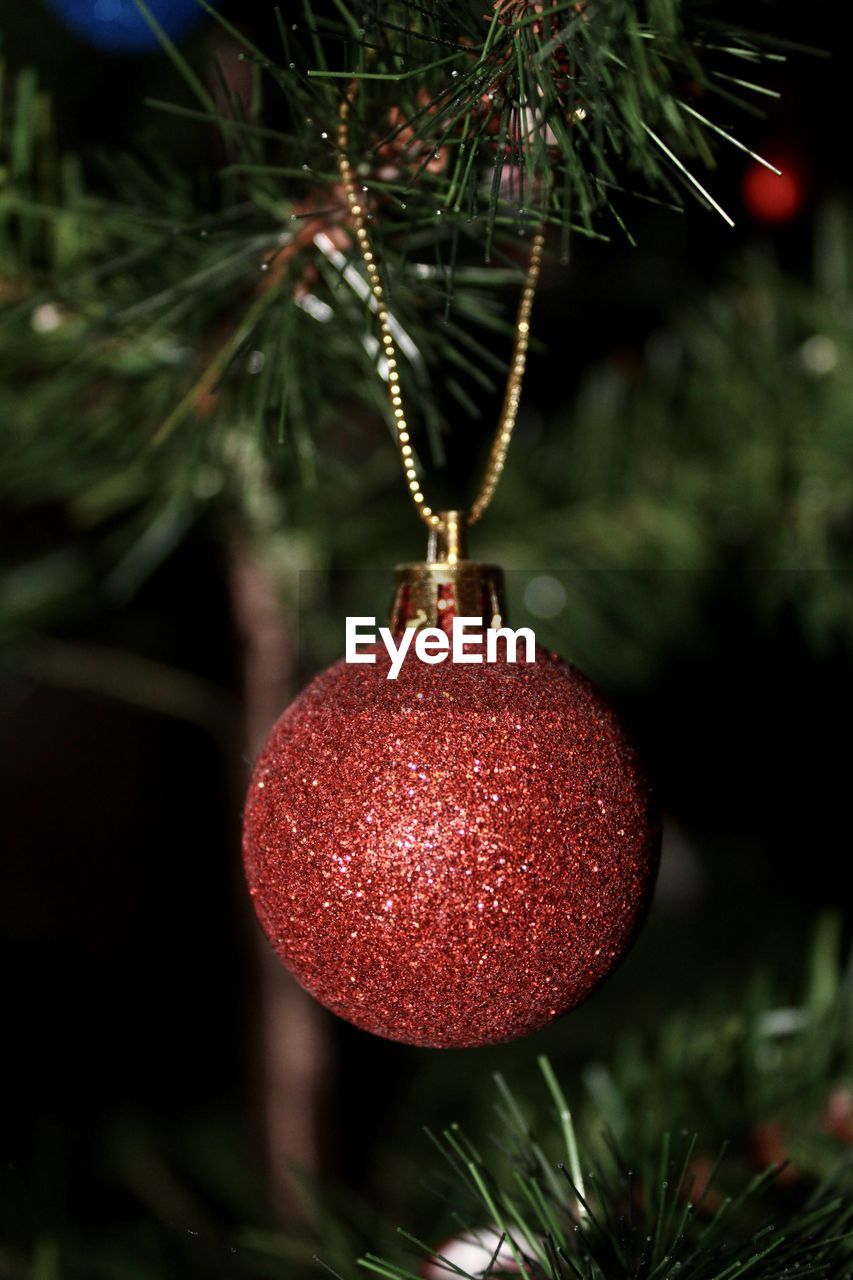 Close-up of christmas decoration hanging on tree