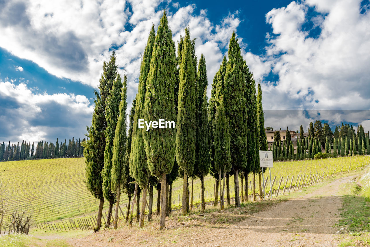 Panoramic view of farm against sky