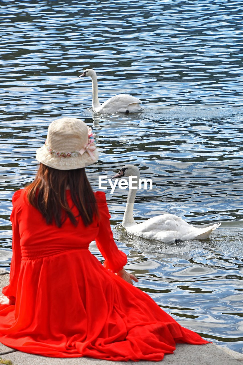 REAR VIEW OF YOUNG WOMAN WITH SEAGULL