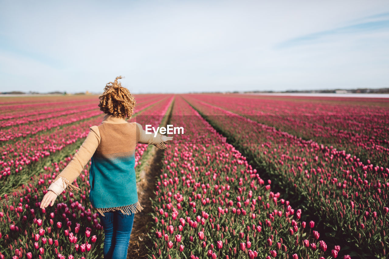 Rear view of person standing on a pink tulip field against sky