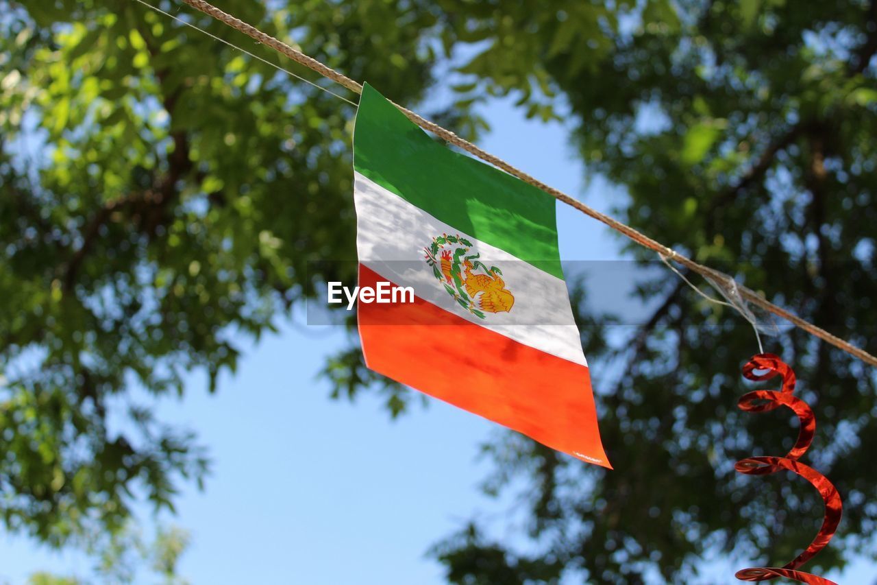 Low angle view of mexican flag against tree