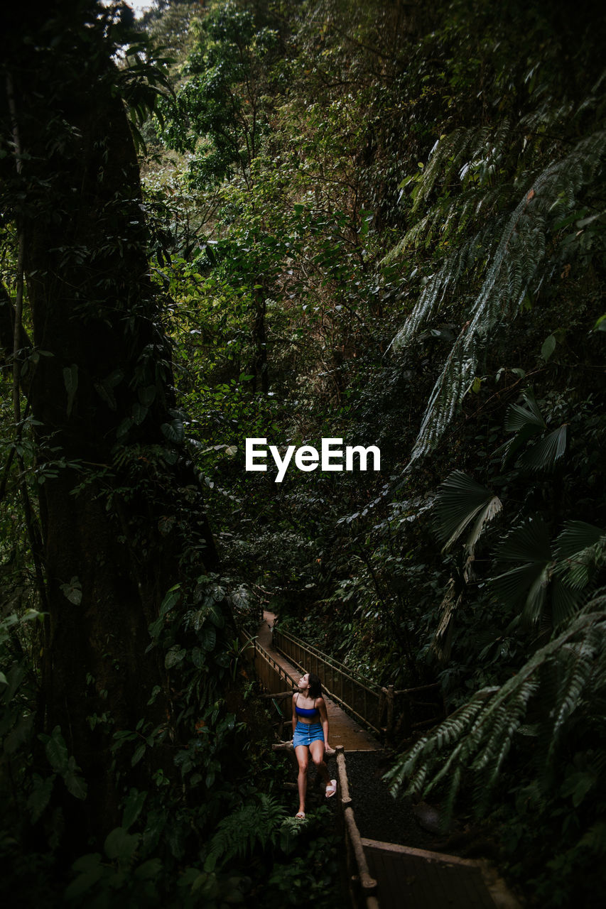 Young woman sitting on narrow footbridge surrounded by tall lush green tropical vegetation and looking up while exploring nature during summer adventure in alajuela province of costa rica