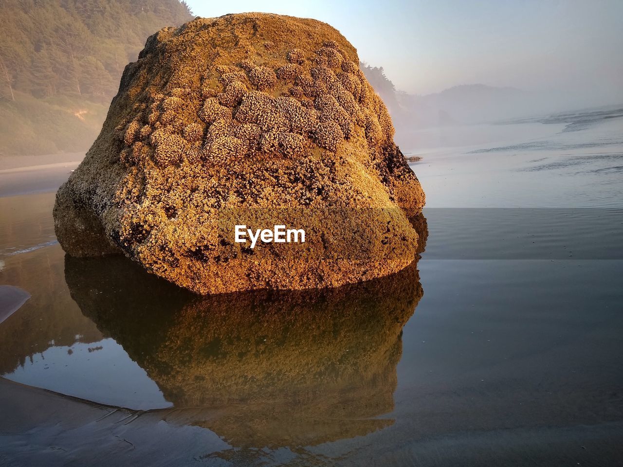 CLOSE-UP OF ROCKS ON SHORE