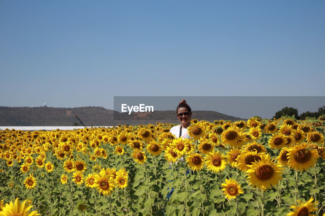 Portrait of smiling woman standing amidst sunflowers on field against clear sky