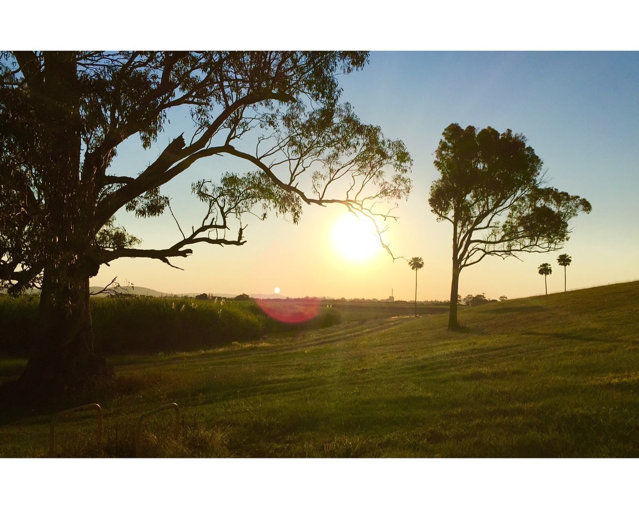 SCENIC VIEW OF GRASSY FIELD AT SUNSET