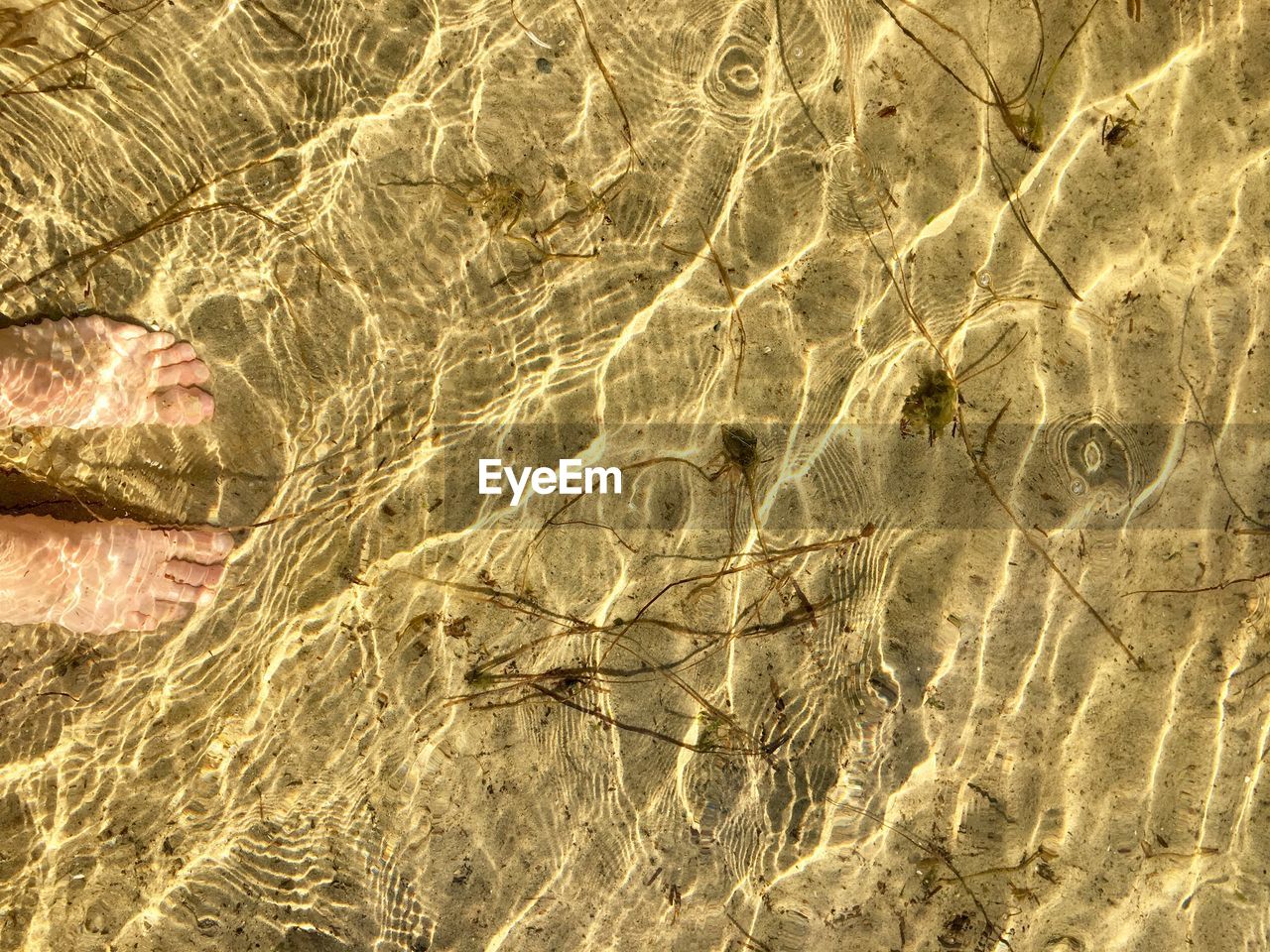 FULL FRAME SHOT OF SEA SHORE