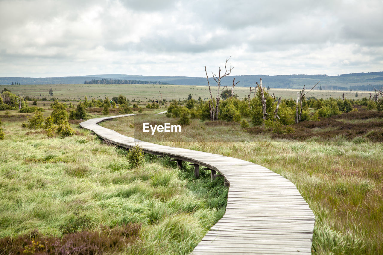 BOARDWALK AMIDST PLANTS ON LAND