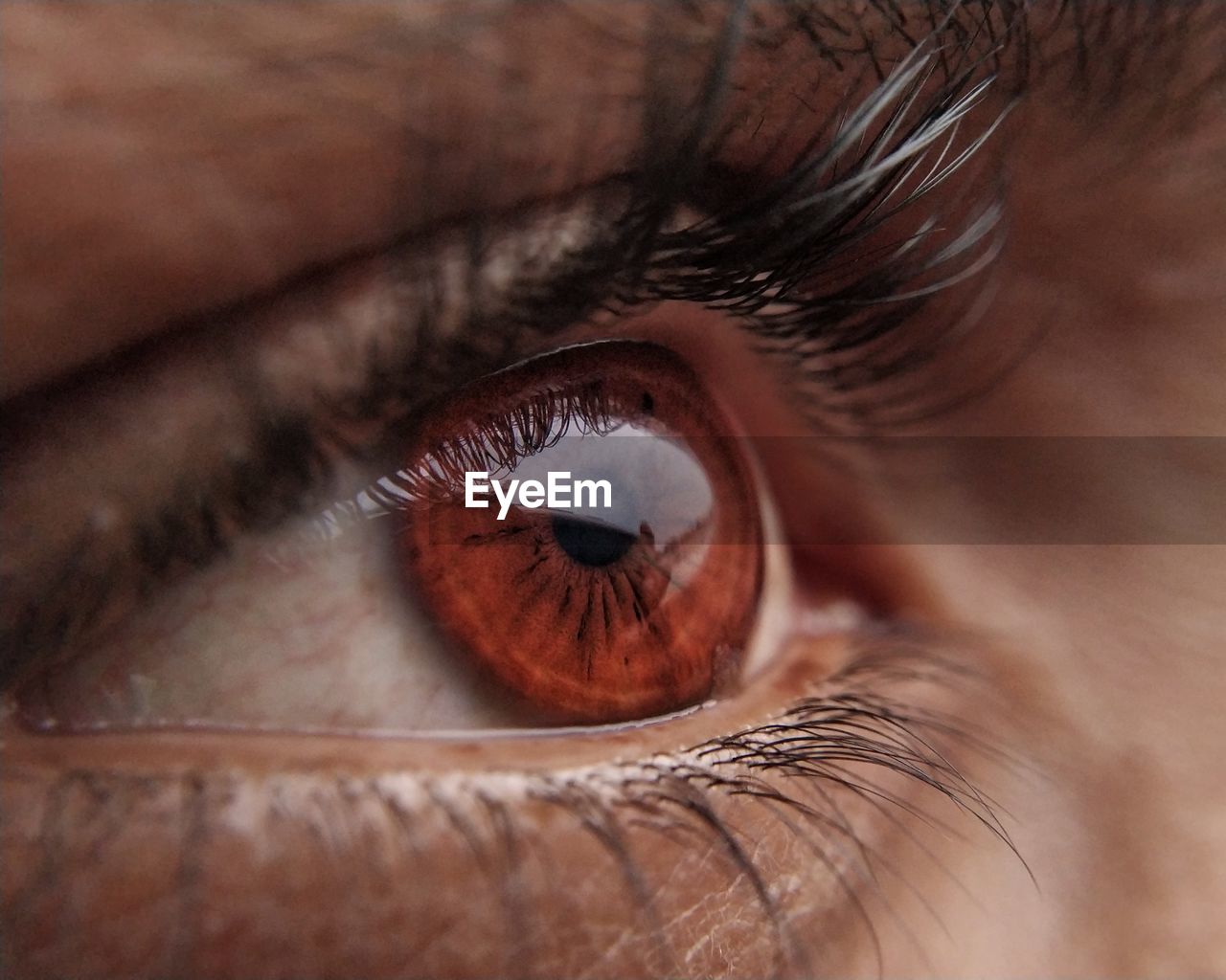 Extreme close-up of man human eye