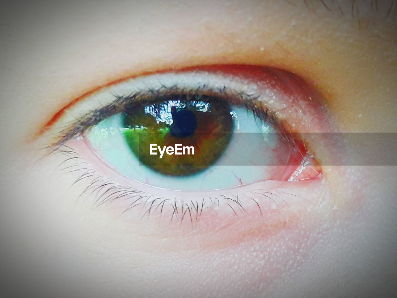 FULL FRAME SHOT OF HUMAN EYE