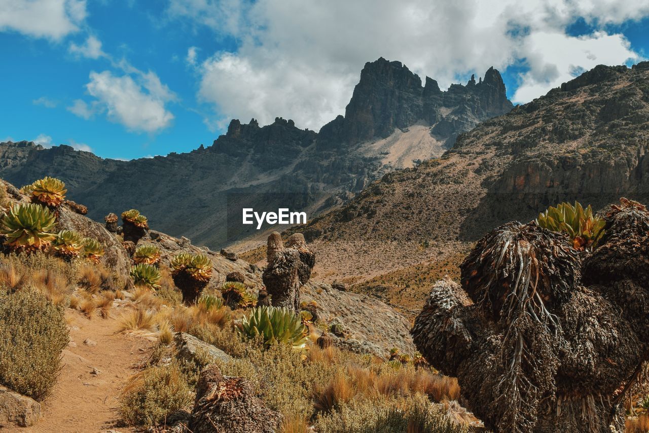 Panoramic view of landscape against sky at mount kenya national park 