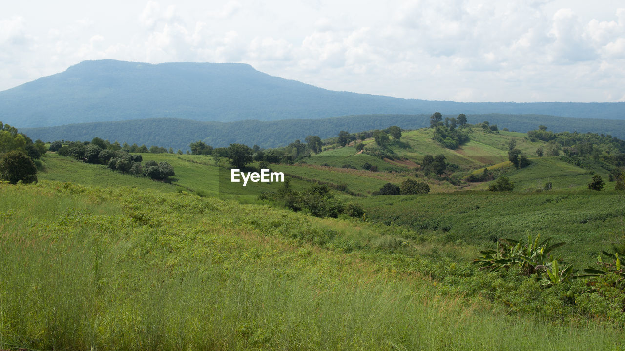 Scenic view of landscape against sky