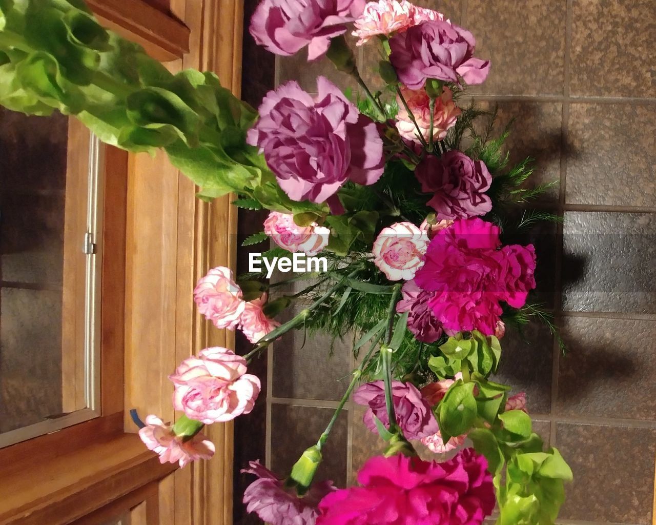 CLOSE-UP OF PINK FLOWERS AND PLANTS