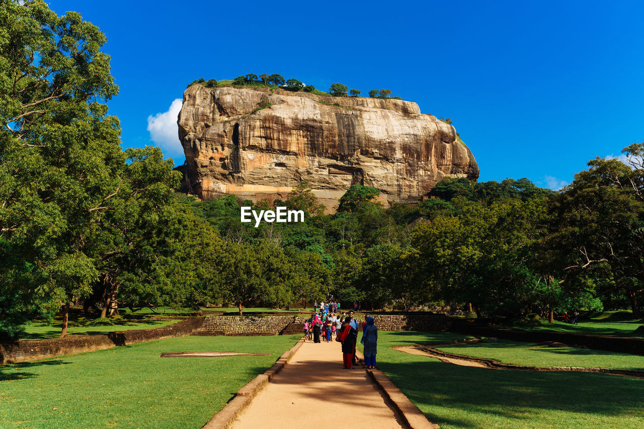 Tourists on footpath against trees in sunny day