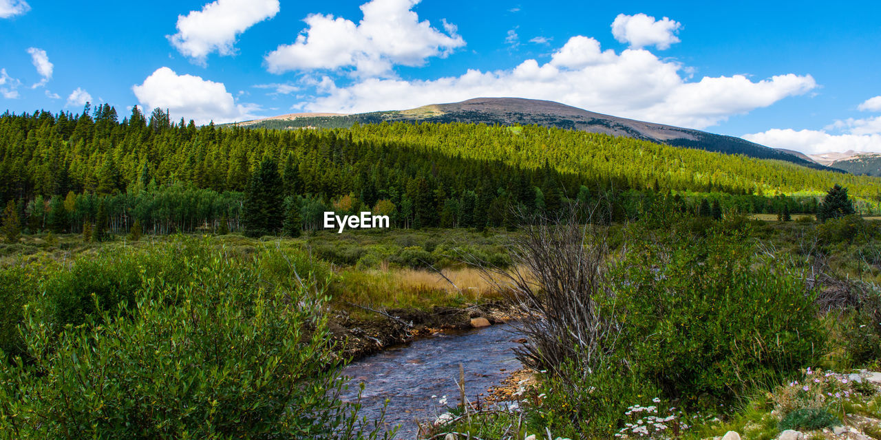 Scenic view of green landscape against sky