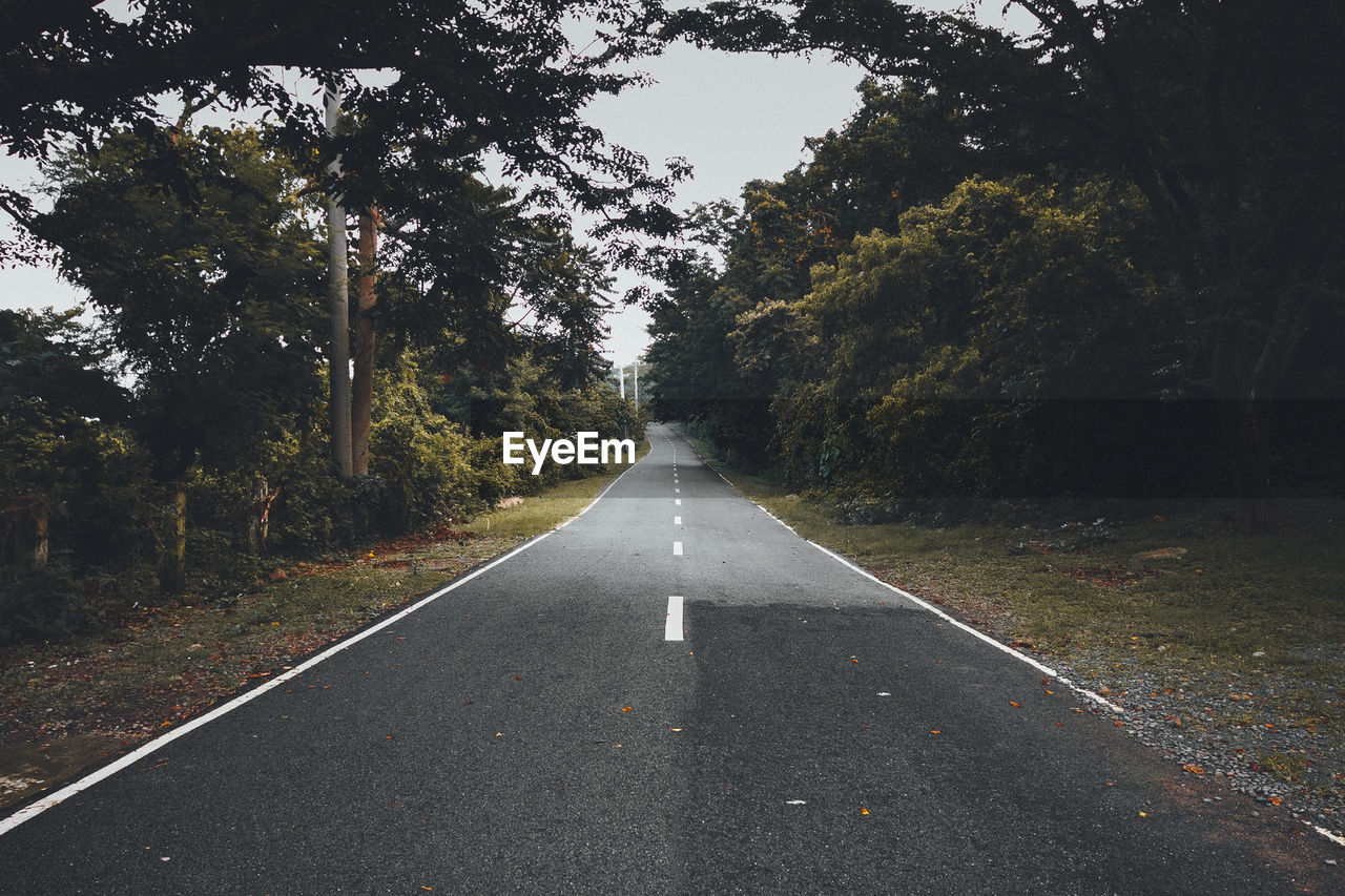 Empty road amidst trees on field