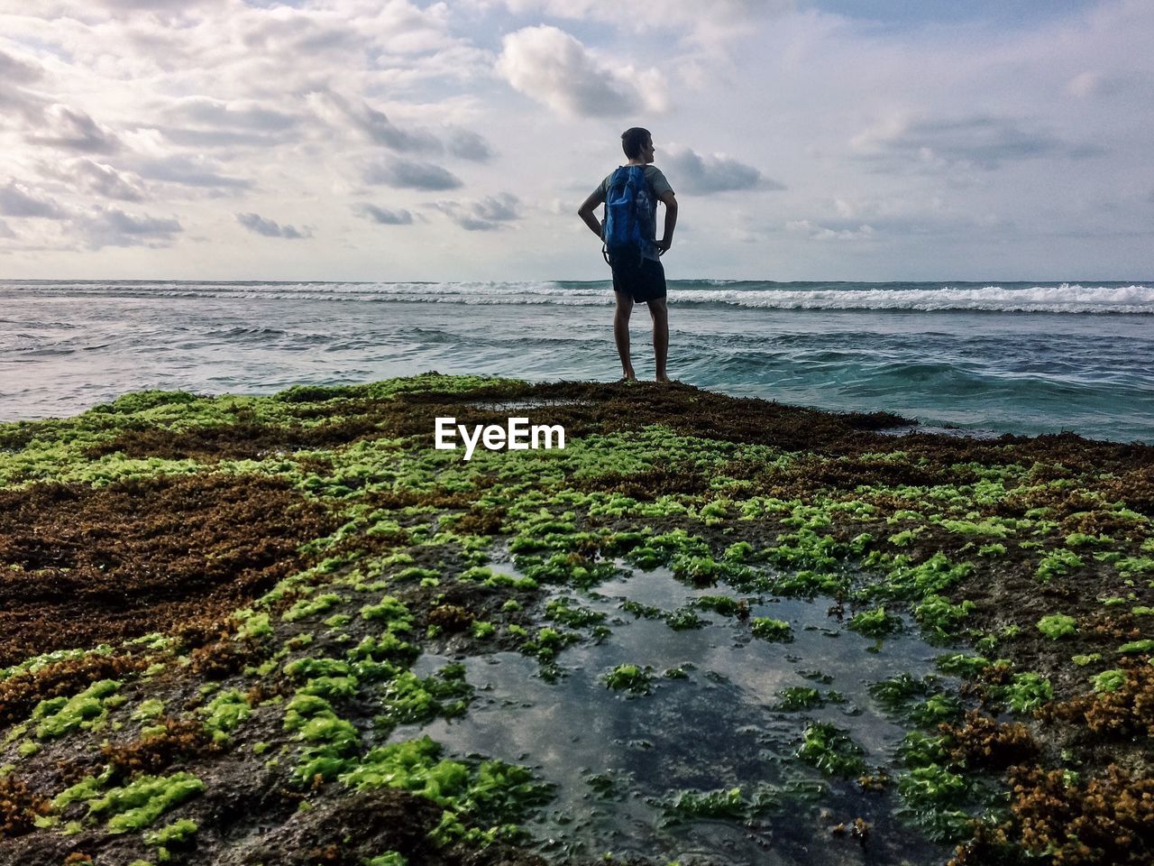 Rear view of man standing on beach