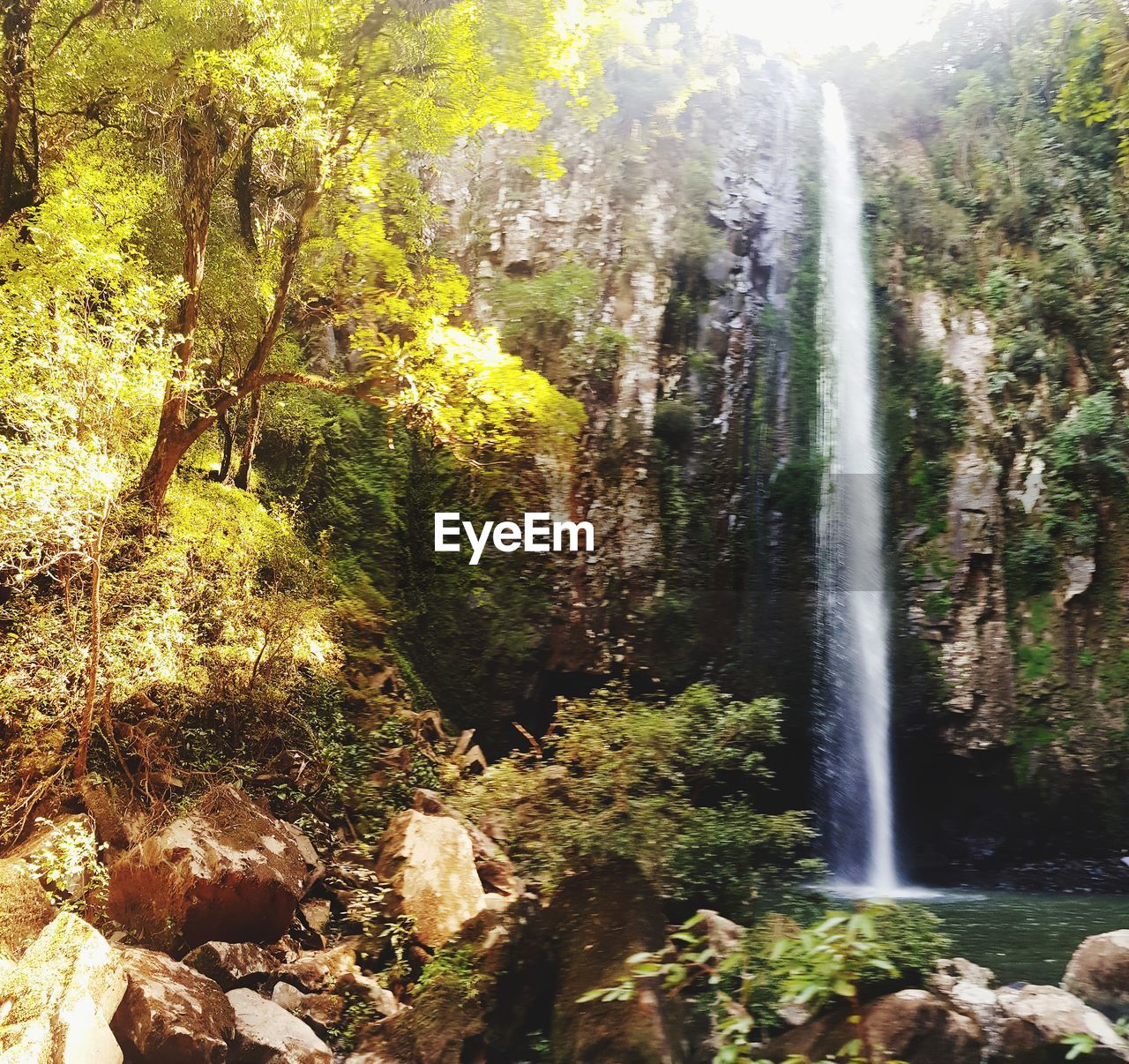 VIEW OF WATERFALL IN FOREST