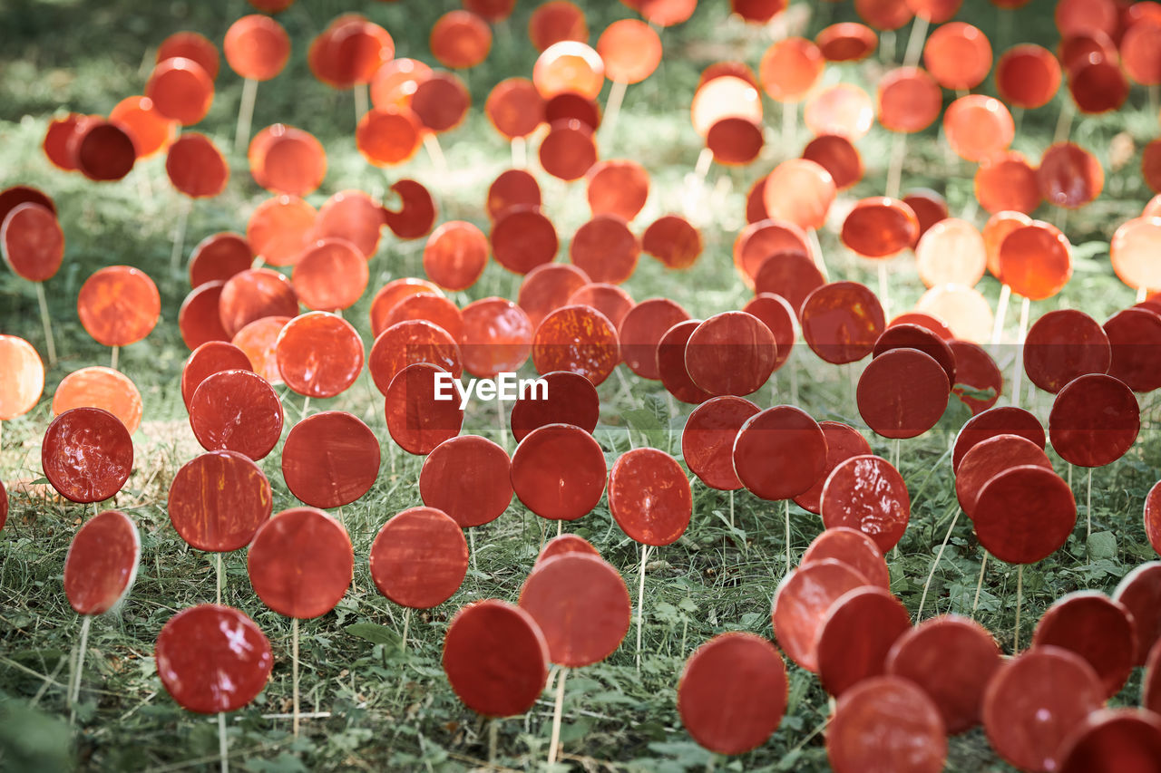 full frame shot of colorful candies