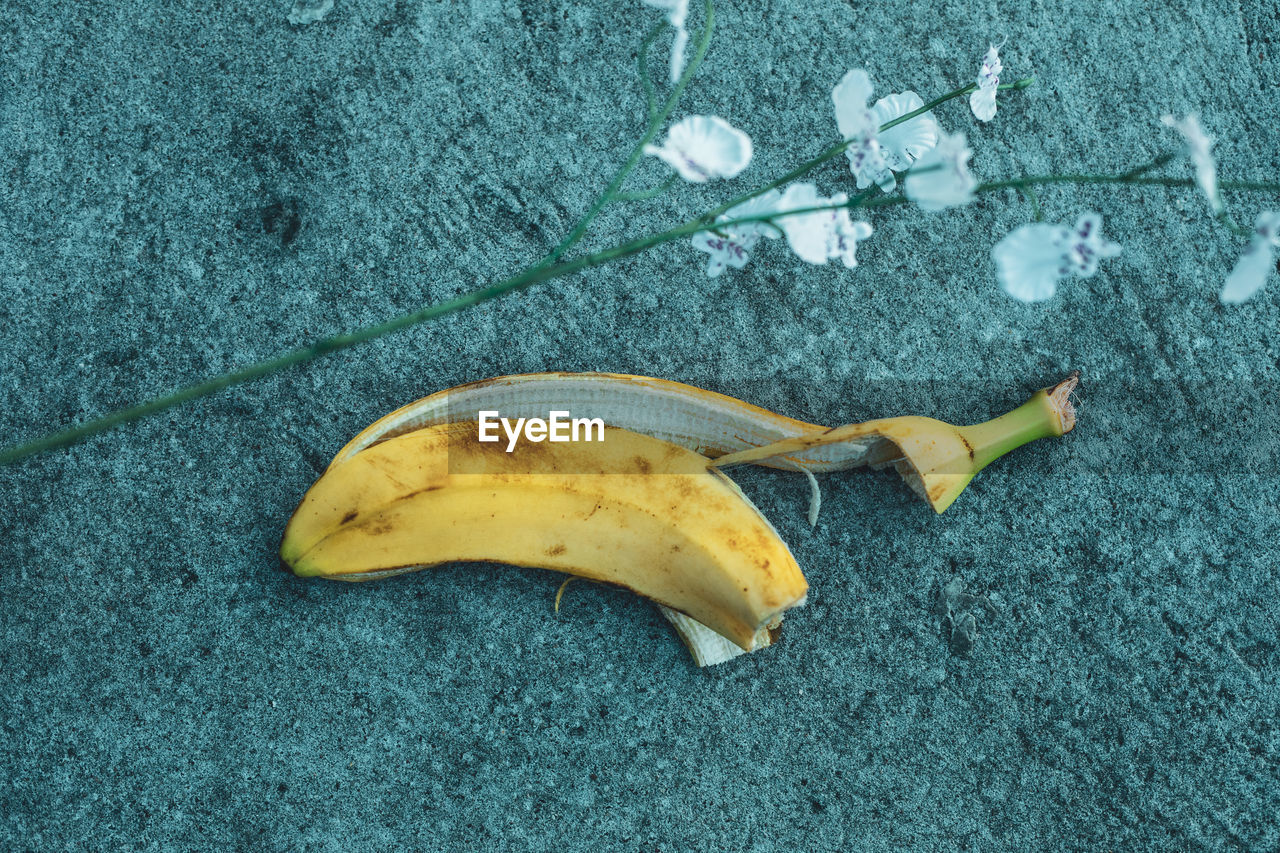 High angle view of banana peel on road