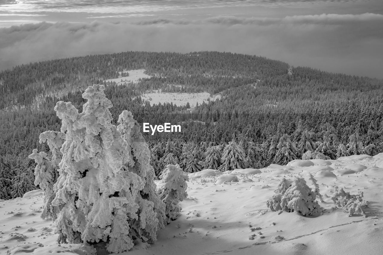 Scenic view of snow covered land against sky