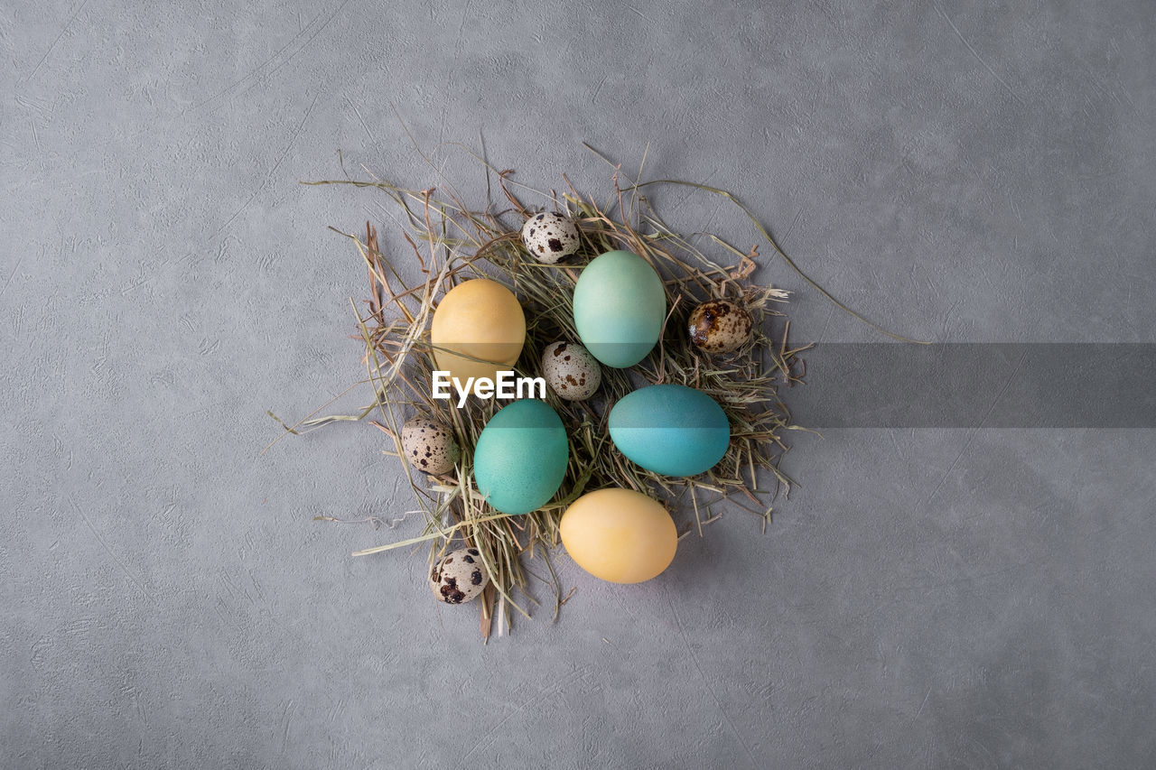 Top view of easter composition of stylized bird's nest with quail and painted chicken eggs