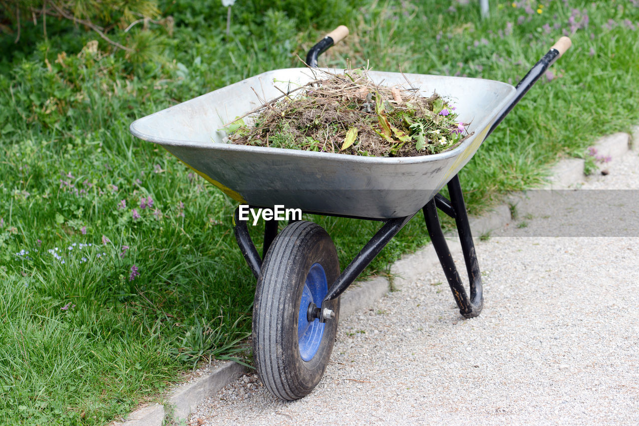 Dry leaves and twig in wheelbarrow on field at garden