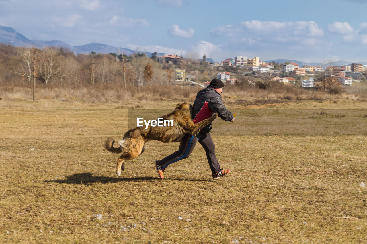 FULL LENGTH OF DOG RUNNING ON FIELD