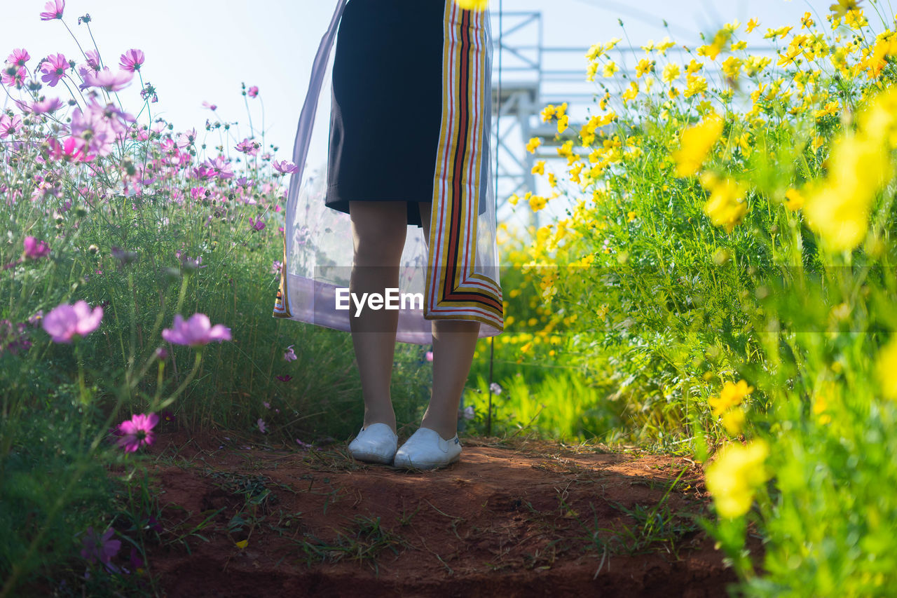 LOW SECTION OF WOMAN STANDING ON FLOWERING PLANTS BY RAILING