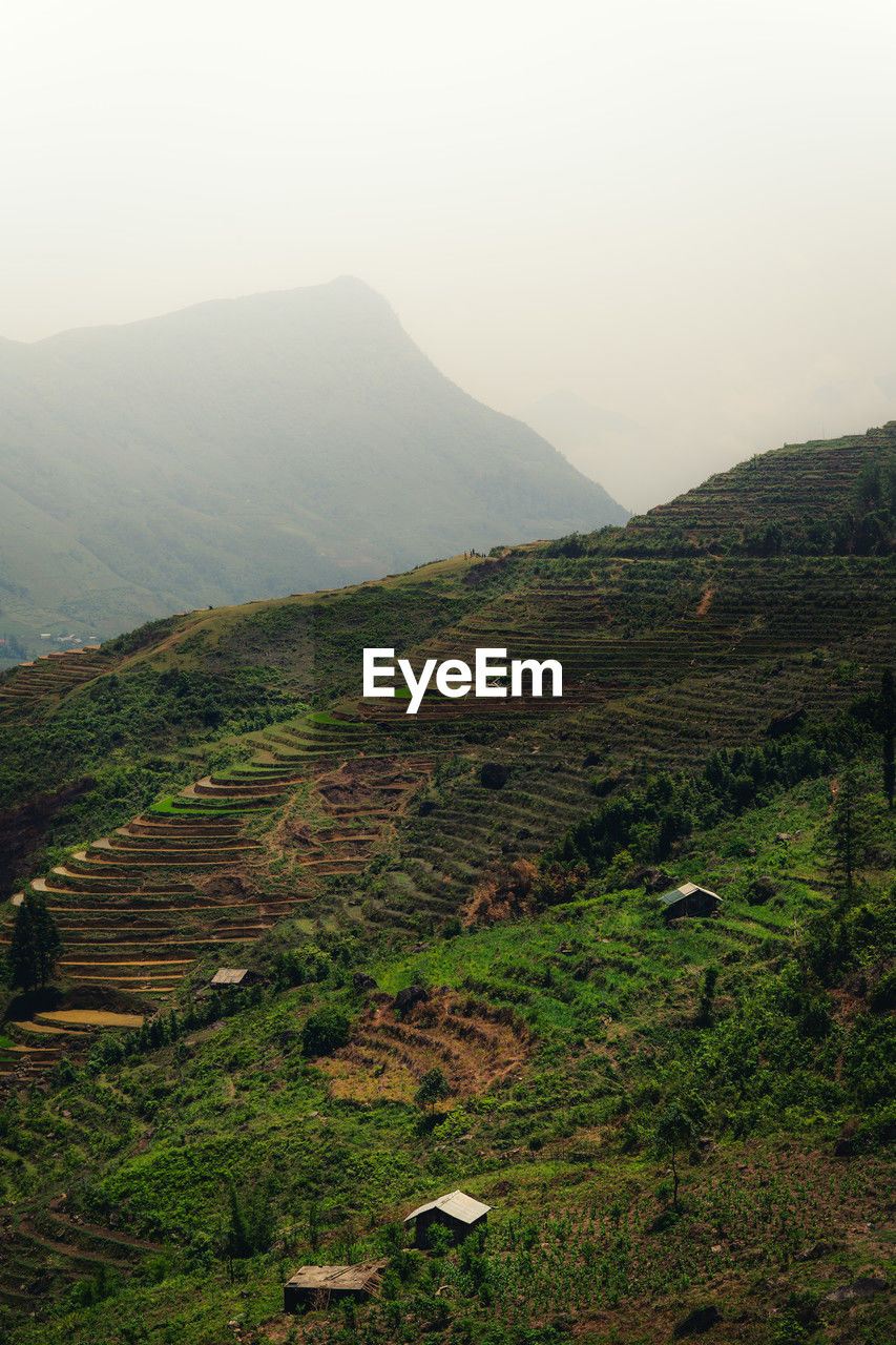 environment, landscape, mountain, scenics - nature, land, beauty in nature, nature, plant, rural scene, sky, tranquility, no people, agriculture, fog, highland, field, tranquil scene, rural area, outdoors, travel, green, valley, non-urban scene, plateau, tree, mountain range, travel destinations, growth, day, morning, high angle view, ridge, crop, tourism, social issues, grass, idyllic, forest, farm