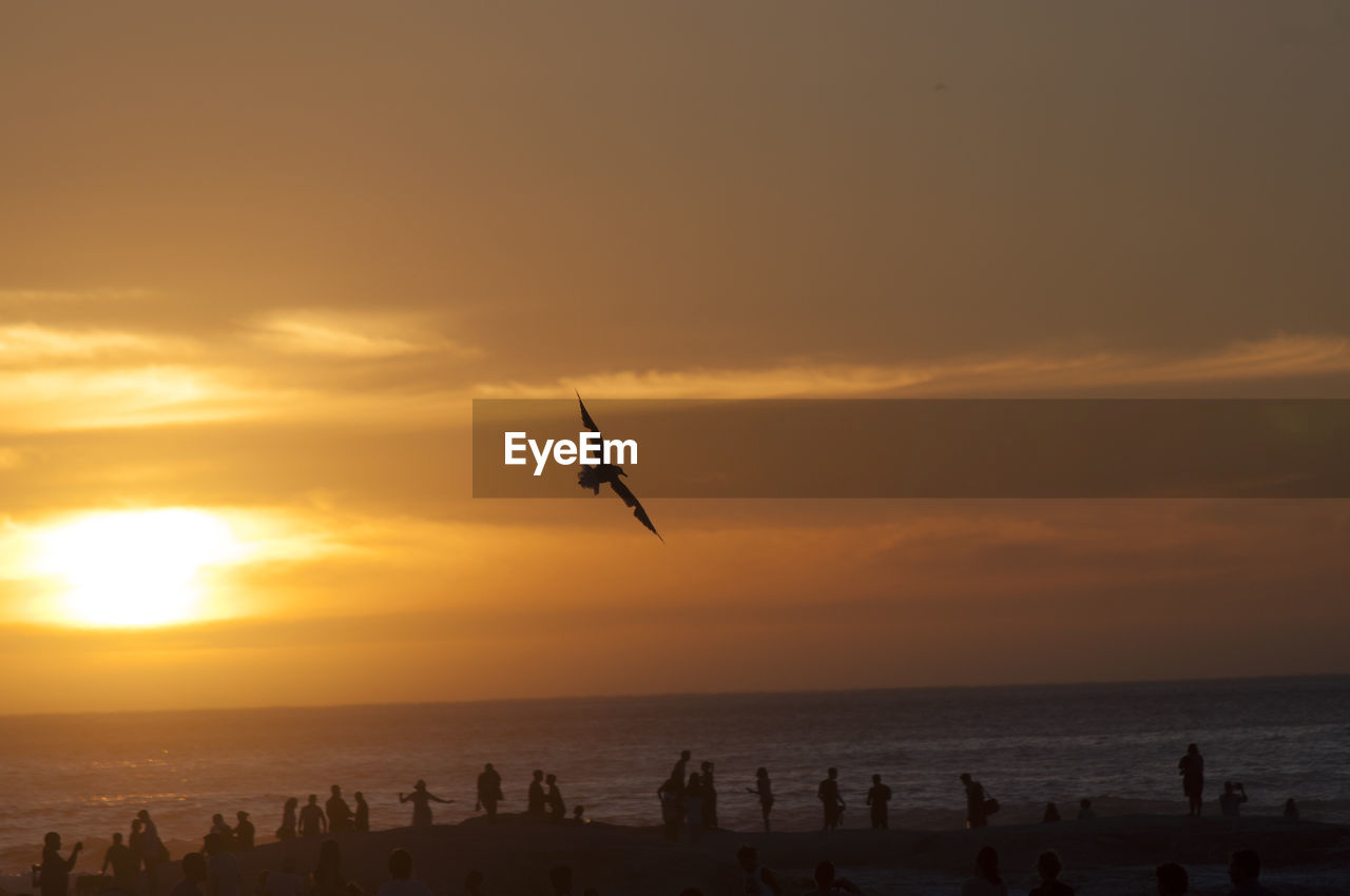 Silhouette people at beach during sunset