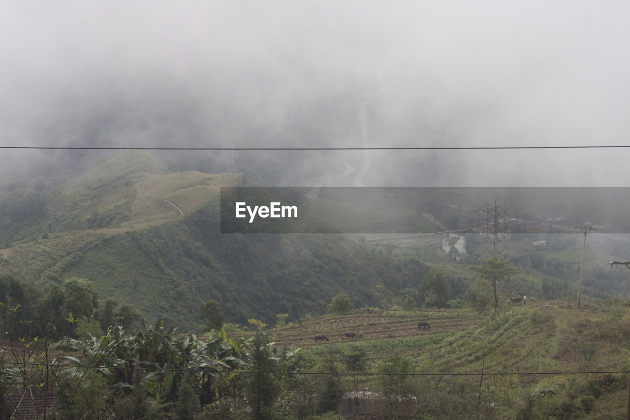 Scenic view of green landscape against cloudy sky