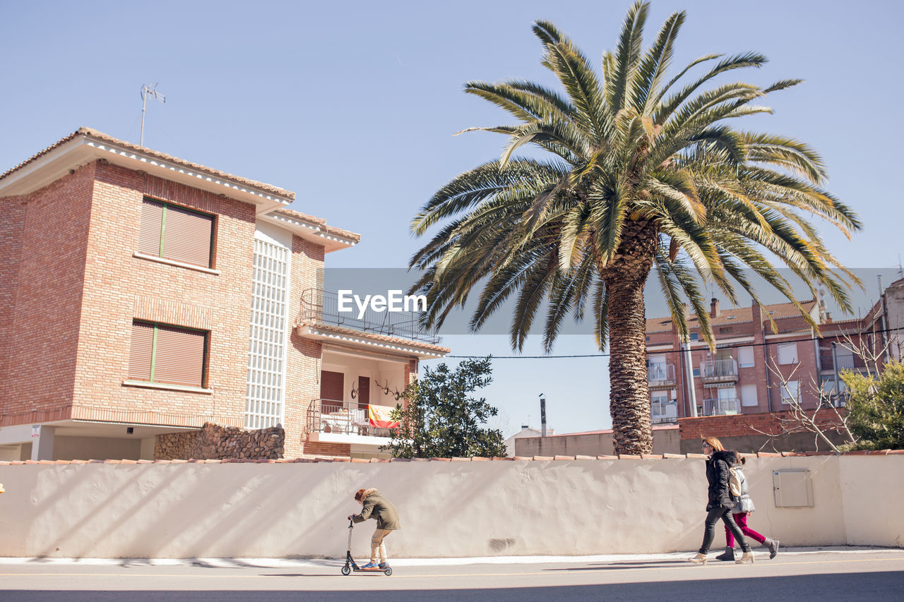 REAR VIEW OF MAN WALKING BY PALM TREE