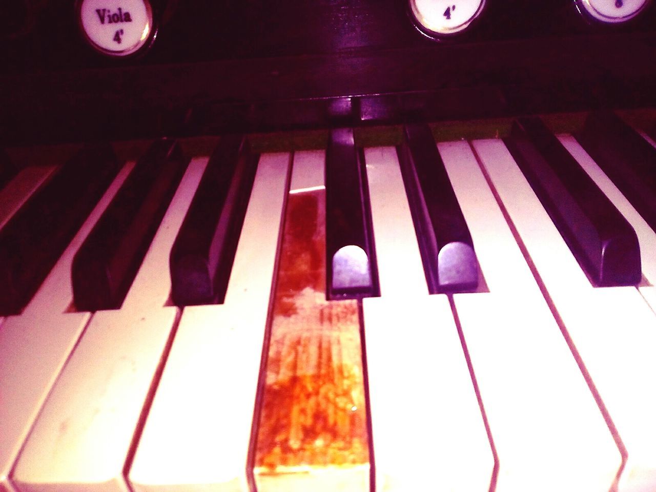 CLOSE-UP OF PIANO KEYS IN CONTAINER