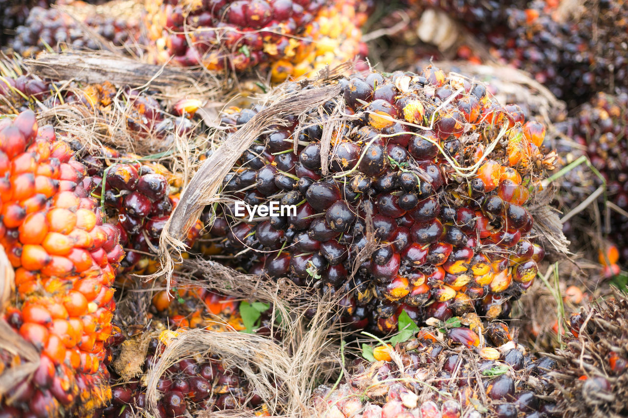 HIGH ANGLE VIEW OF FRUITS IN MARKET STALL