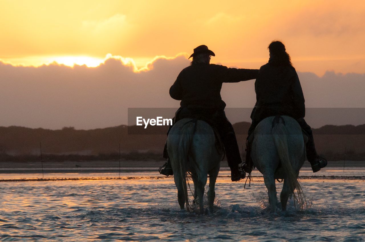 Rear view of people riding horses on water against sky during sunset