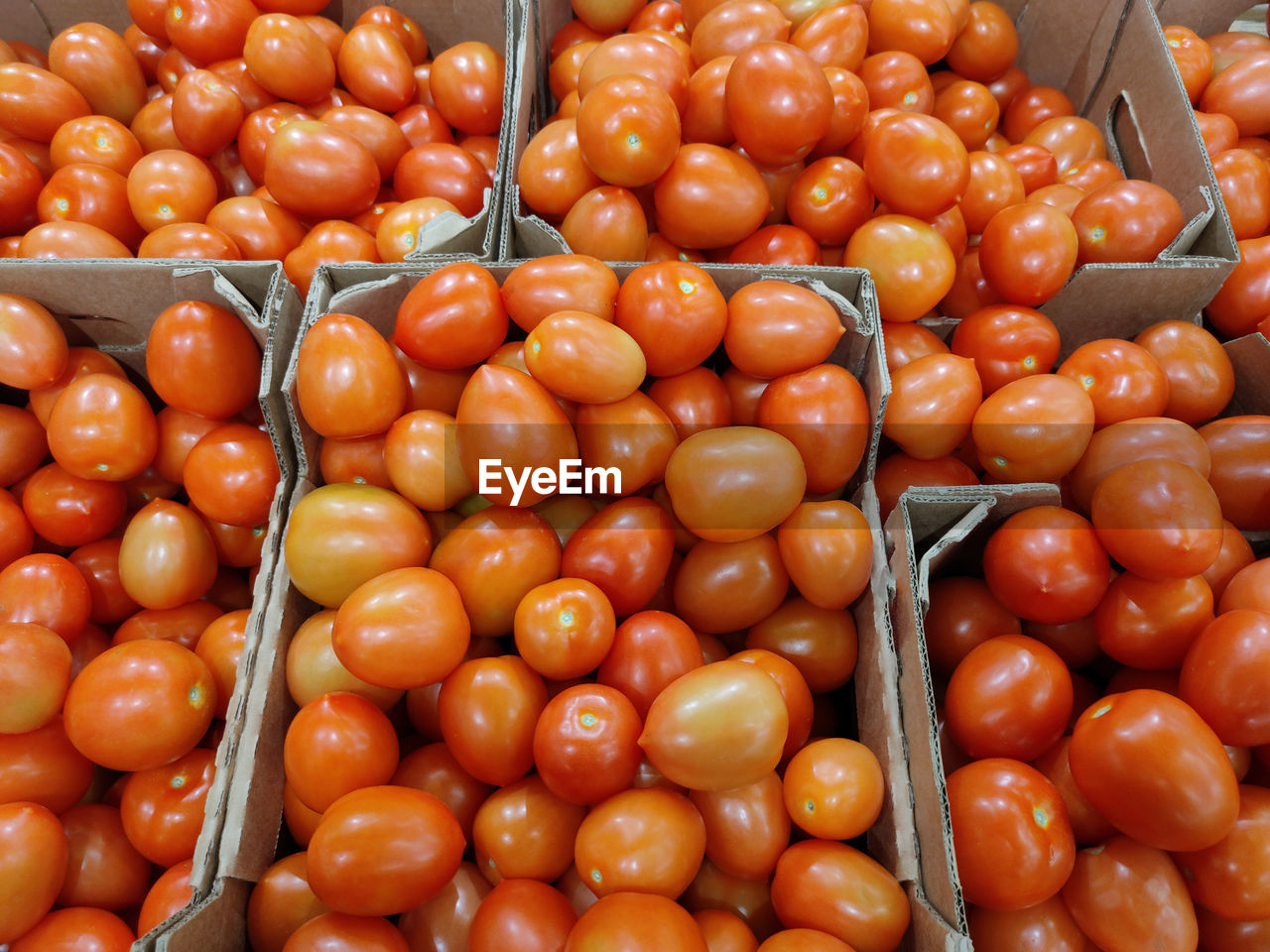 Red fresh tomatoes in cardboard boxes on the supermarket counter